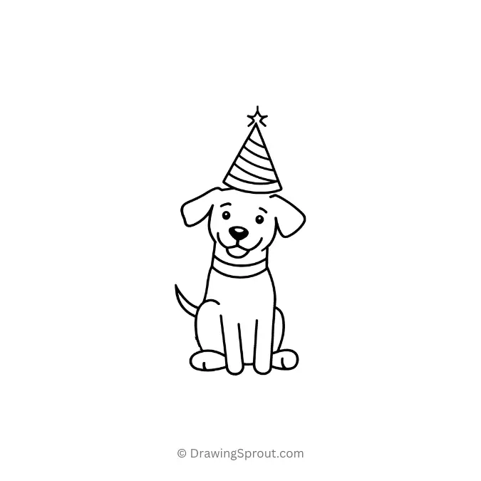 Dog celebrating his birthday