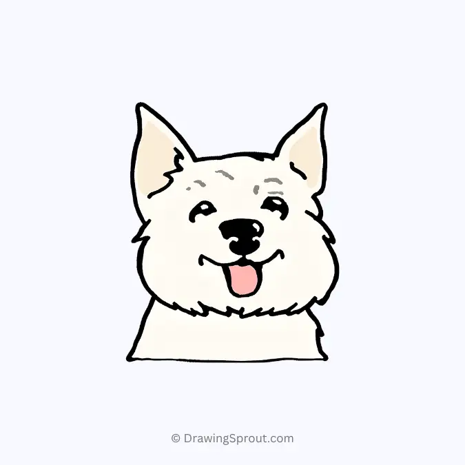 Westie Face drawing