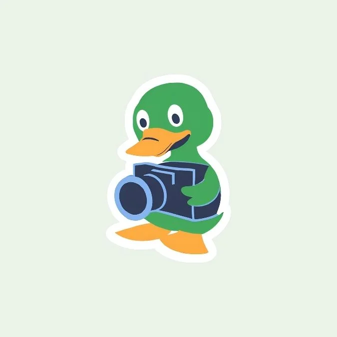 cute easy duckling drawing, ducking taking photo
