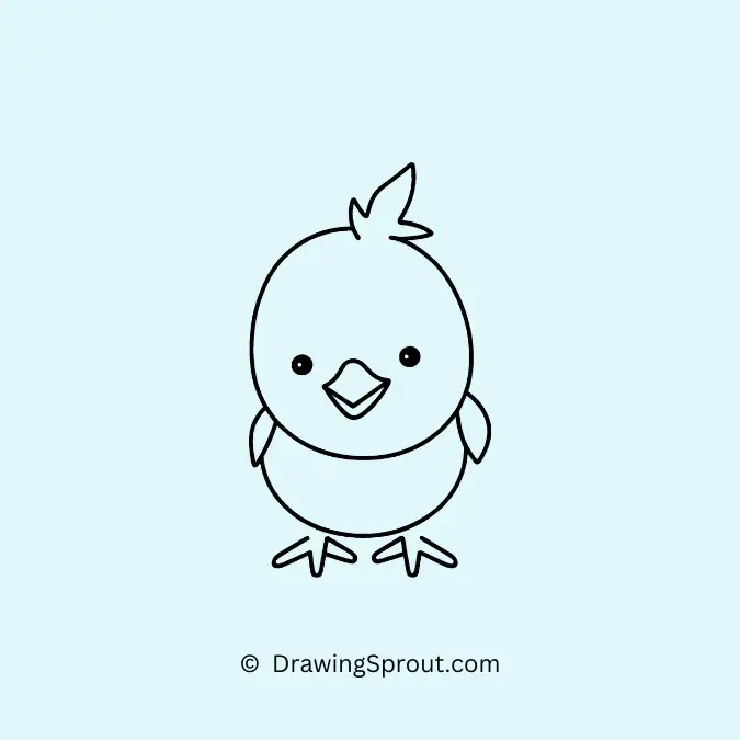 Cute Fluffy Baby Chick Drawing