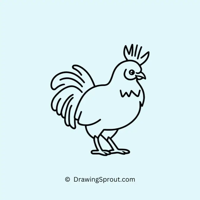 a fluffy Silkie chicken