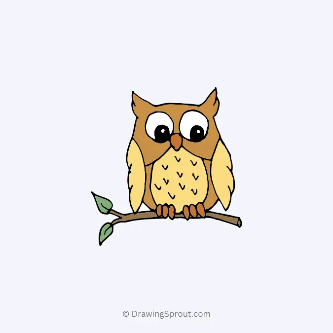 cute owl on a branch