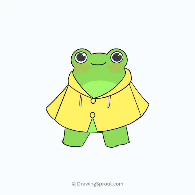 frog in raincoat