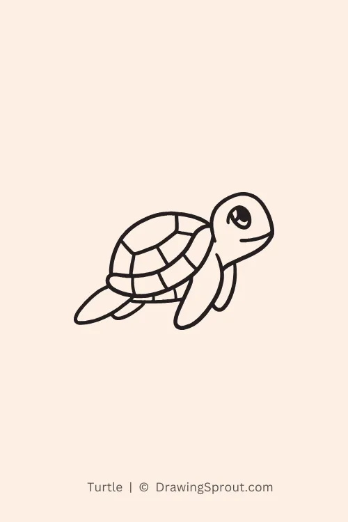 Turtle