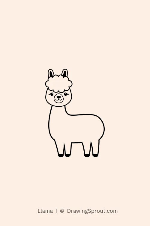 Llama
