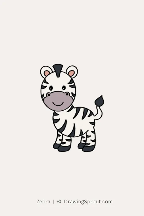 Zebra