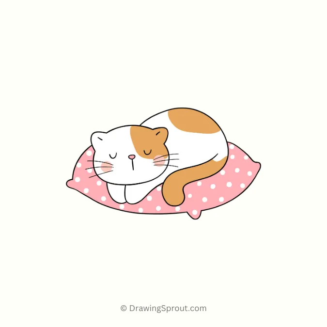 cat sleeping 