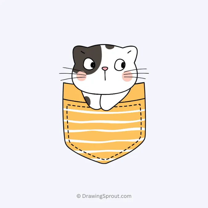 cat in a pocket