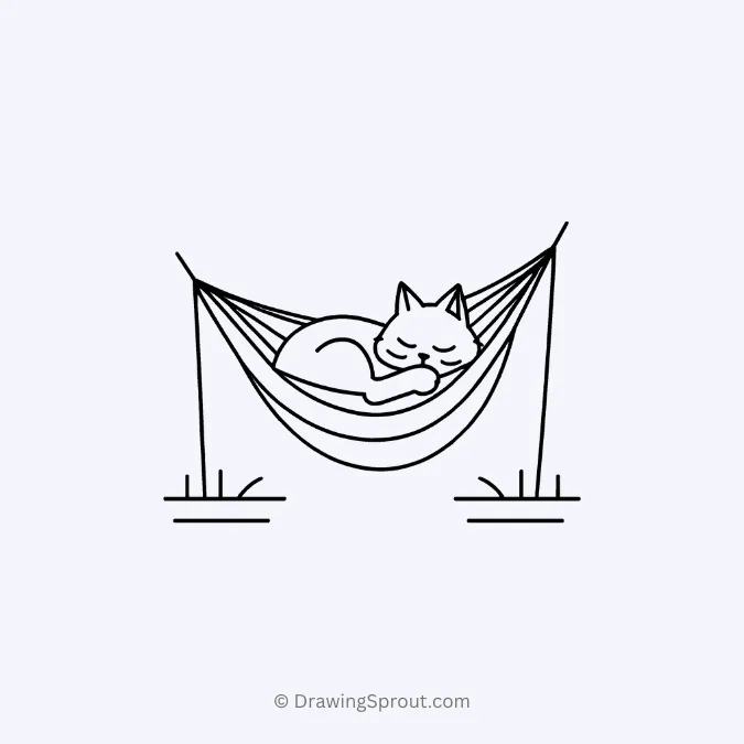 cat sleeping in a hammock